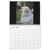 Maremma Sheepdog Calendar Kalender (Mar 2026)