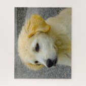 Maremma Sheepdog. Legpuzzel (Verticaal)