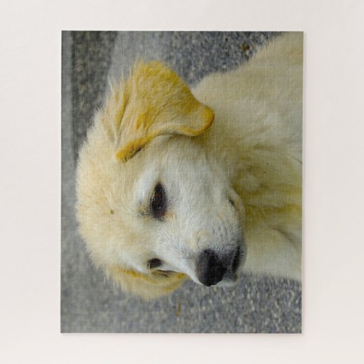 Maremma Sheepdog. Legpuzzel (Verticaal)