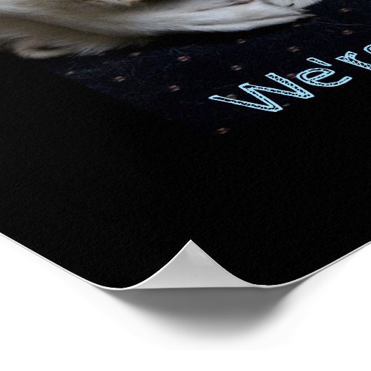 Maremma sheepdog rare wereld poster (Hoek)