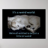 Maremma sheepdog rare wereld poster (Voorkant)