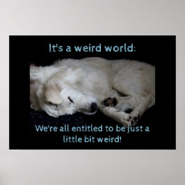 Maremma sheepdog rare wereld poster