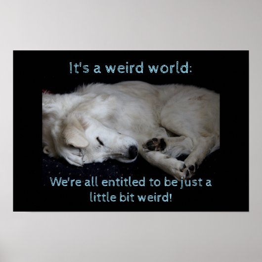 Maremma sheepdog rare wereld poster (Voorkant)