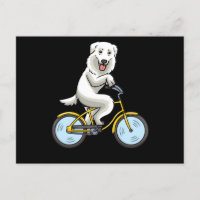 Maremmano Abruzzese Sheepdog Dog Bicycle