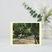 Marengo Ave., Pasadena, Vintage van Californië Briefkaart (Staand voorkant)
