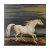 Marengo het Witte Paard (door James Ward) Tegeltje (Voorkant)