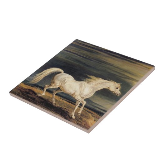 Marengo het Witte Paard (door James Ward) Tegeltje (Zijkant)