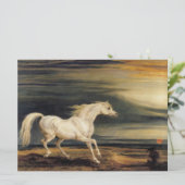 Marengo het Witte Paard Kaart (Staand voorkant)