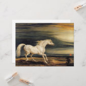 Marengo het Witte Paard Kaart (Voorkant / Achterkant in situ)