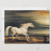 Marengo het Witte Paard Kaart (Voorkant)