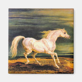 Marengo van Napoleon Magneet (Voorkant)