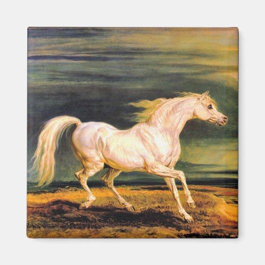 Marengo van Napoleon Magneet (Voorkant)