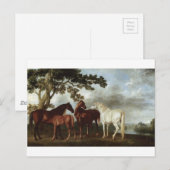 Mares and Foals in the River Landscape George Stub Briefkaart (Voorkant / Achterkant)