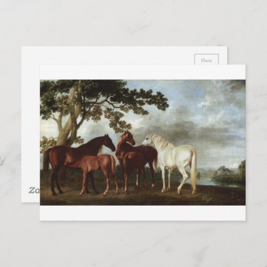 Mares and Foals in the River Landscape George Stub Briefkaart (Voorkant / Achterkant)