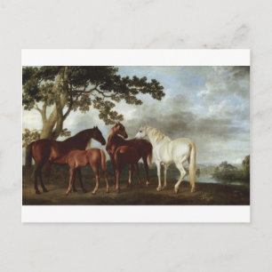 Mares and Foals in the River Landscape George Stub Briefkaart
