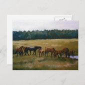 Mares and Foals Original Art Briefkaart (Voorkant / Achterkant)
