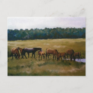 Mares and Foals Original Art Briefkaart