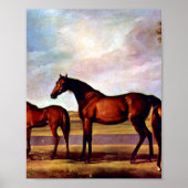 Mares and foals van George Stubbs Poster (Voorkant)