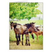 Mares en Foals (Voorkant)