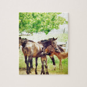 Mares en Foals Legpuzzel