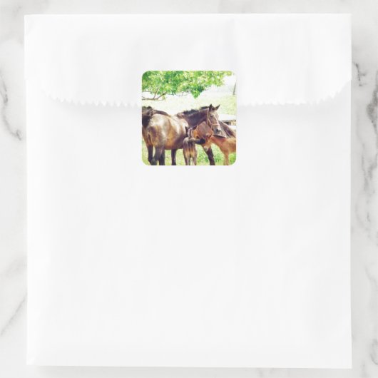 Mares en Foals Vierkante Sticker (Tas)