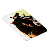 Mares en Foul Horses Magneet (Rechterzijde)