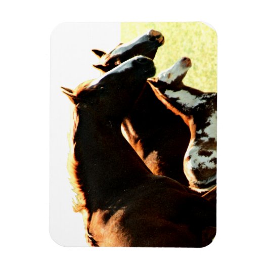 Mares en Foul Horses Magneet (Verticaal)