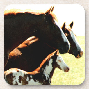 Mares en Foul Horses Onderzetter