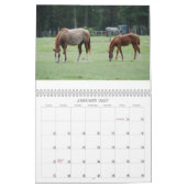 Mares & Foals Agenda Kalender (Jan 2027)