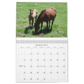 Mares & Foals Agenda Kalender (Mar 2027)