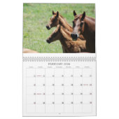Mares & Foals Agenda Kalender (Feb 2026)