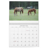 Mares & Foals Agenda Kalender (Jan 2026)