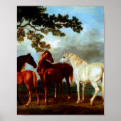 Mares in a River Landscape van George Stubbs Poster (Voorkant)