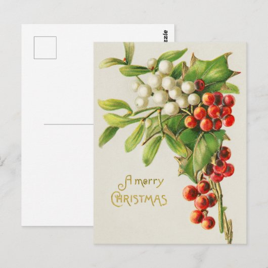  maretak briefkaart (Voorkant / Achterkant)