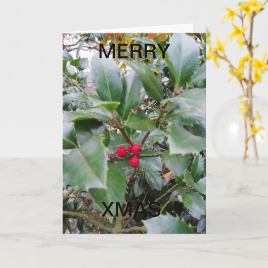 Maretak met rode bessen. kaart (Gele Bloem)