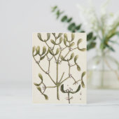 Maretak van "Nieuwsgierige Kruiden", 1782 Briefkaart (Staand voorkant)