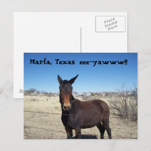 Marfa, Texas, eee-yawww!!! Briefkaart (Voorkant / Achterkant)