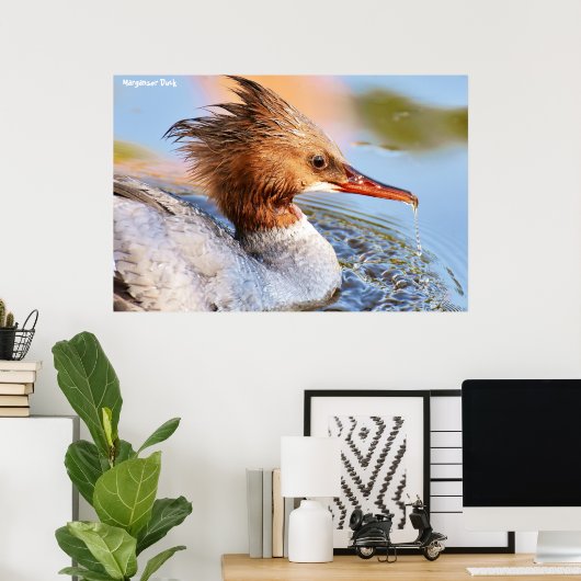 Marganser Duck Poster (Thuiskantoor)
