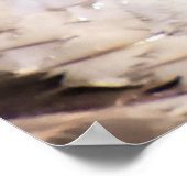 Marganser Eend Poster (Hoek)