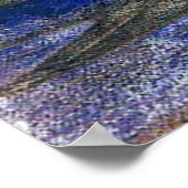 Margaret Macdonald Black Thorns Poster (Hoek)