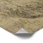 Margaret Macdonald The Sleeping Princess Glasgow Poster (Hoek)