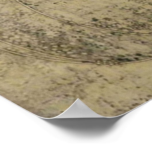 Margaret Macdonald The Sleeping Princess Glasgow Poster (Hoek)