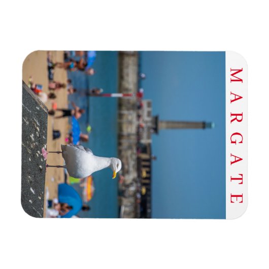 Margate seagull friet magnet magneet (Horizontaal)