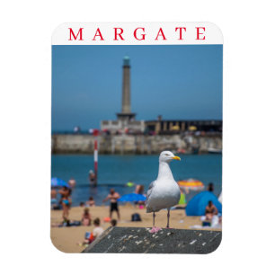 Margate seagull friet magnet magneet