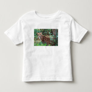 Margay, Leopardus wiedi, Inheems in Mexico tot in Kinder Shirts