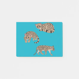 Margays Post-it® Notes