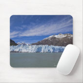 Margerie Glacier in Glacier Bay NP Muismat (Met muis)