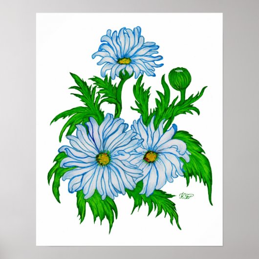 Margerieten Bloem Poster (Voorkant)