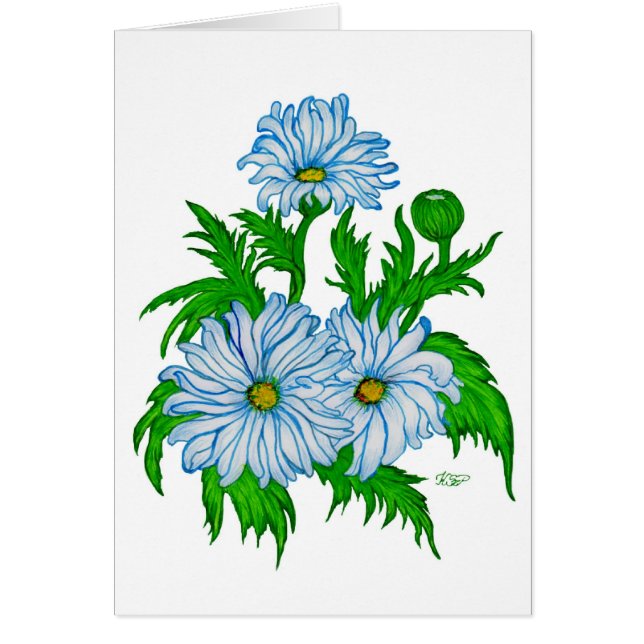 Margeriten Blume (Voorkant)