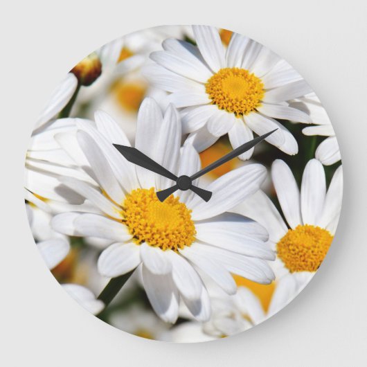 Margeriten Grote Klok (Voorkant)